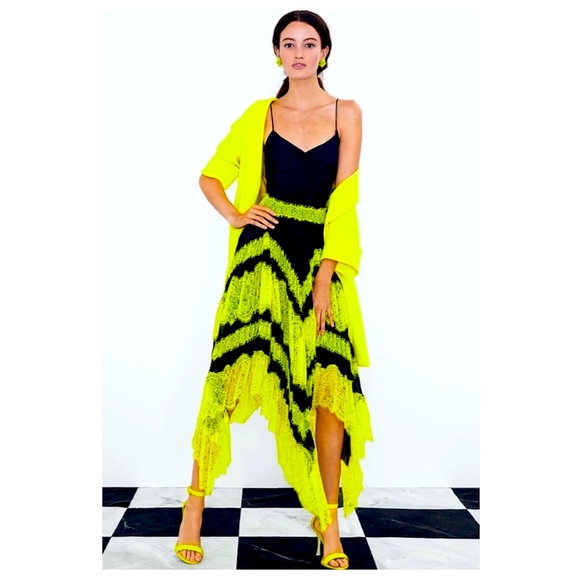 ALICE + OLIVIA Katz Lace Pleated Midi Skirt - Picture 4 of 15